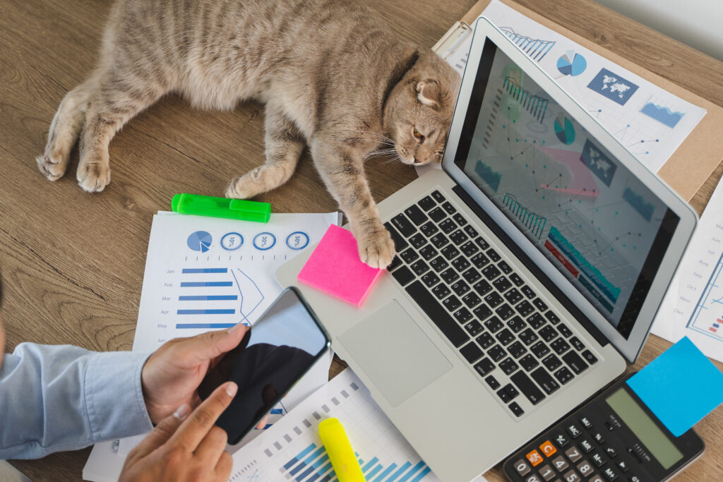 A cat lying on a desk, its paw on the laptop